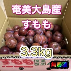 奄美 プラム すもも5キロ 毎年完売 大好評 奄美大島産 すもも 5キロ｜ プラム