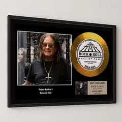 貴重●アナログ●CHANGES OzzyOsbourne ピクチャーディスク 貴重○アナログ○CHANGES OzzyOsbourne ピクチャーディスク 貴重