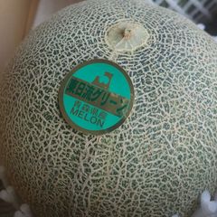 青森県産 東日流(つがる)グリーンメロン 2L 2玉 甘くて美味しい💕