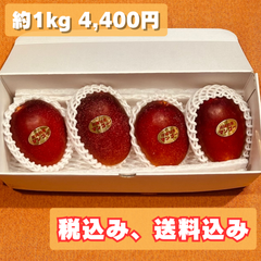 アーウィン秀品 4玉 約1kg