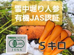 【在庫限り値下げ中❗】有機JAS人参　A品　２L～ＳＳサイズ混合　5キロ