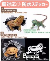 爬虫類 防水ステッカー フトアゴヒゲトカゲ グリーンイグアナ