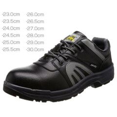 Item thumbnail for item 082237a7-efae-49e6-bc51-56d356d0c545