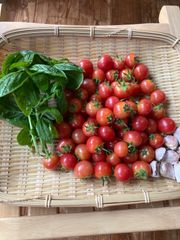 【農薬・化学肥料不使用】朝採れミニトマト、島ニンニク、バジル