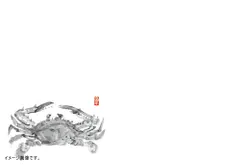 【新品】尺3 テーブルマット(100枚入) かに No.102