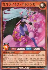 2025年最新】花牙クノイチ・エトランゼの人気アイテム - メルカリ
