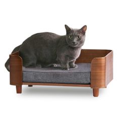 Item thumbnail for item 17ba2c2f-33fe-4d44-a8b4-a2fd4952a24c