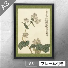 大塚明、【浅間山連雲】、希少な大判額装用画集より、美品、日本人画家 大塚明、【浅間山連雲】、希少な大判額装用画集より、美品、日本