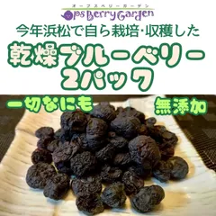 ブルーベリー　600g 常温メルカリ便発送 ブルーベリー 600g 常温メルカリ便発送 ブルーベリー 600g 常温