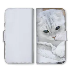 Galaxy A55 5G SC-53E ケース 手帳型 ギャラクシー A55 スマホケース 携帯ケース 猫 ネコ 白猫  スコティッシュフォールド マンチカン 写真 可愛い オシャレ おしゃれ くすみ ベージュ カラー02