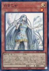 伝説の威光継承パック　35パック Amazon.co.jp: Z/X -Zillions of enemy X- EXパック第35弾