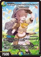 2025年最新】アセビ アンドロメダの人気アイテム - メルカリ