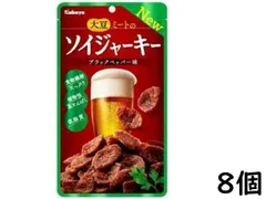 カバヤ ソイジャーキー 45g ×8個 賞味期限2025/12