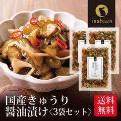 【3個セット】日本橋いなば園 国産きゅうり醤油漬け 100g ネコポス メール便送料無料