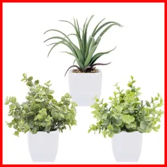 【人気商品】光触媒 ミニ 造花 鉢植え 人工多肉植物 3個 インテリア 人工観葉植物 ミニ盆栽 フェイクグリーン フェイクグリーン 卓上 フェイク 雑貨 小さい 観葉植物 ギフト