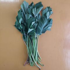 さつまいも 茎 400g  無農薬 ☆昼めし旅で紹介されました！
