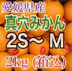 今年は貴重‼️きたーーーー‼️真穴みかん赤秀SS約10kg6980円‼️2箱限定2