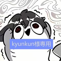 【kyunkun様専用】
