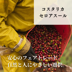 【同梱はご相談ください 】丘の光が育てた、やさしい甘み 有機JAS認証生豆使用 コスタリカ セロアスール 200g【アームズ珈琲®】
