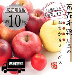 青森県産 " 店長おまかせミックス " りんご【家庭用B品10kg】【送料無料】【農家直送】林檎 リンゴ