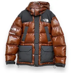 2024年最新】Supreme The North Face 700-Fill Down Parkaの人気 ...