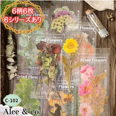 C-102★6柄6枚 8種類あり　大きめ　BIGサイズ　ドライフラワー　PETシール　ステッカー　花柄　植物　防水　素材　コラージュ　　紙もの　手帳　背景　デザペ　デコ　クラフト　DIY ジャンクジャーナル　おすそ分けにも　文房具　送料無料