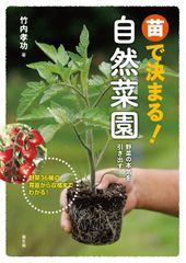 岐阜県産麗月トマト 注文ページ - メルカリ
