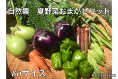 高知県産　自然農おまかせ野菜セット　80サイズ　クール便