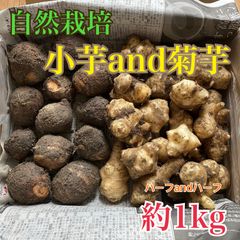 自然栽培の菊芋と小芋　ハーフandハーフ　約1kg 土付き