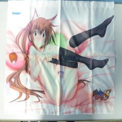 真剣で私に恋しなさい 川神一子 B2タペストリー