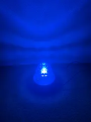 セール 高輝度 デコトラ屋 正規品 24V専用 BA15S S25 LEDバルブ 特殊レンズ搭載 シングル 平行ピン サイドマーカー バスマーカー ナマズ テールランプ デコトラ レトロ 大型車 トラック 10個SET Cタイプ