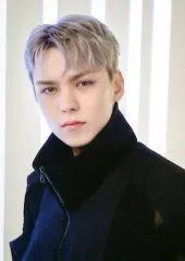 【中古】コレクションカード(男性) 12：SEVENTEEN/VERNON(バーノン)/「SEVENTEEN TOUR ’FOLLOW’ TO JAPAN」フォトカード