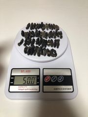 工場直売　関西産A級品 乾燥なまこ　超ミニサイズ 50g50匹 (計量時50g50本)