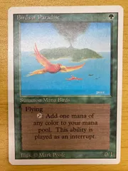 Amazon.co.jp: MTG極楽鳥/Birds of ParadiseMark Poole アート