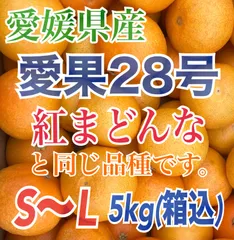 『家庭用』愛媛県産 愛果28号【紅まどんな同品種】S〜L 約5kg (箱込)【愛媛ブランド果実】