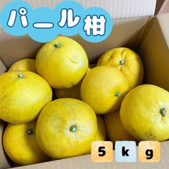 福岡県産 パール柑 5kg