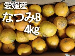 【送料無料】　愛媛産　なつみ　B　ご家庭用り　約4ｋｇ　柑橘　南津海