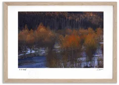 アートフォト 絵画 ベスト 新芽に夕日1 高橋真澄/インテリア 額入り 額装込 風景画 油絵 ポスター アート アートパネル リビング 玄関 プレゼント モダン アートフレーム 飾る Mサイズ おしゃれ 壁掛け 絵