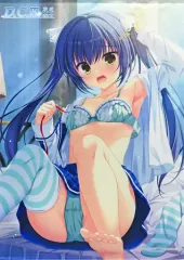 【中古】タペストリー 瑠川さら 描き下ろしB2タペストリー 「PS4/Switchソフト D.C.III P.S.～ダ・カーポIII プラスストーリー～ 完全生産限定版」 WonderGOO購入特典