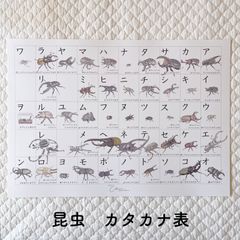 テク　※プロフィール必読お願いします chon ama プロフィール必読です！ - メルカリShops