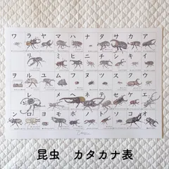昆虫　カタカナ表　A3 ポスター