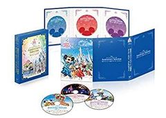 新品 ディズニープリンセス コレクション 絵本型ディスクケース仕様