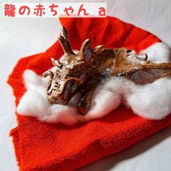 【手作り陶人形】龍の赤ちゃん　お正月飾り　縁起物　龍　置物　辰年　竜　ドラゴン　dragon　紅絹・箱付き
