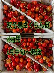 6月18日〜発送　東根産　双子さくらんぼ　佐藤錦　2kg