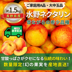 水野ネクタリン～今では貴重な昔ながらの味～【内容量】約1.5kg【配送方法】通常配送【サイズ】L以上【品目】ネクタリン【品種】当店お任せ【産地】長野県【規格】ご家庭用A品【詰め方】パック詰め【配送までの日数】1～4日
