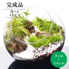 【完成品】16cm 4サイズ ボトルテラリウム 苔テラリウム 和風 砂利 観葉植物 苔盆景 テラリウム 気孔石  新生活 入学祝い 歓迎会 送別会プレゼント 送料無料 新築祝い 苔 おしゃれ 贈り物 インテリア グリーン ギフト