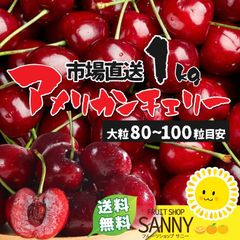 アメリカンチェリー（良品大粒）大容量1kg 特別濃厚な『ビング種』（良品）（目安80-100粒）パリッと大粒！【クール便送料無料】※沖縄・離島・北海道は発送不可