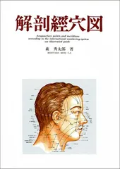 人体十四経和穴位断面解剖図譜 本