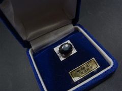 Item thumbnail for item b2d8402f-d03d-4d92-b68a-e3b95671b88e