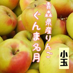 青森県産りんご★ぐんま名月小玉★自然栽培